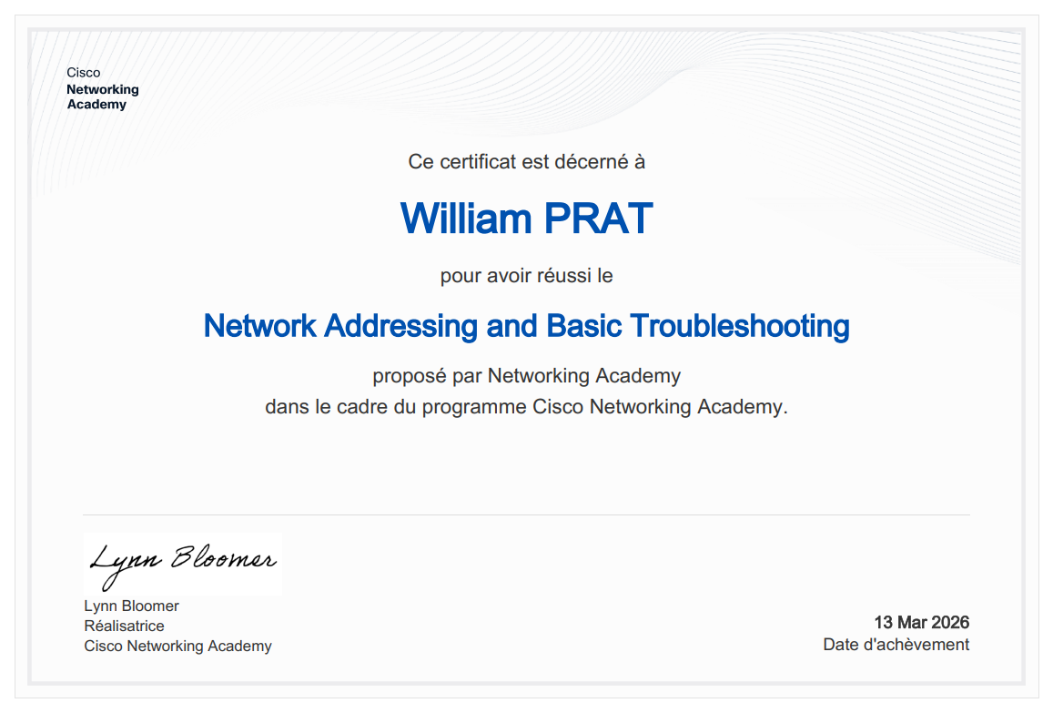Network Addressing and Basic Troubleshooting